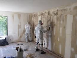 Best Commercial Mold Inspection  in Coram, NY